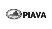 PAIVA logo